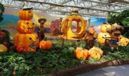 吃瓜群众第二季免费看,免费畅享，揭秘娱乐圈风云变幻